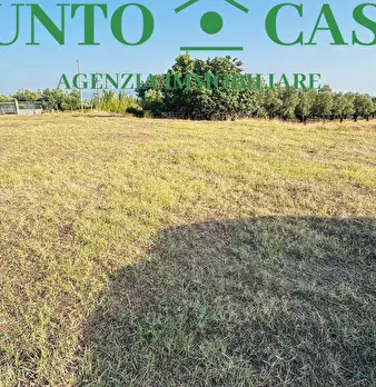 Foto annuncio 10