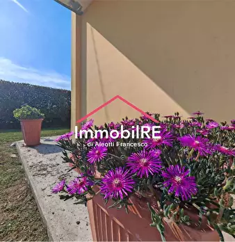 Foto annuncio 47