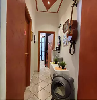 Foto annuncio 19