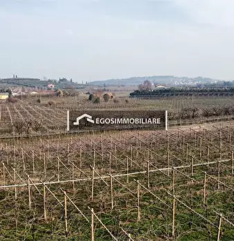 Foto annuncio 27
