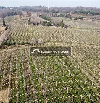 Foto annuncio 8