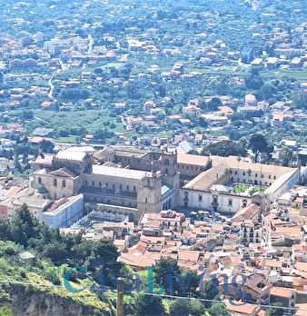 Foto annuncio 40