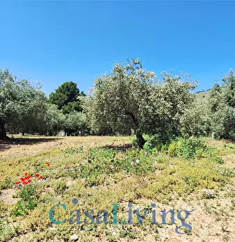 Foto annuncio 23