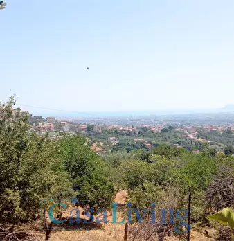 Foto annuncio 29
