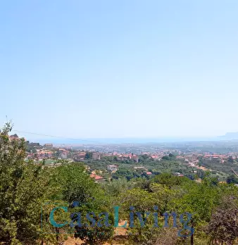 Foto annuncio 31