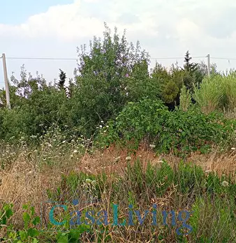 Foto annuncio 8