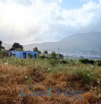 Foto annuncio 10