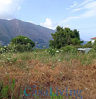 Foto annuncio 11