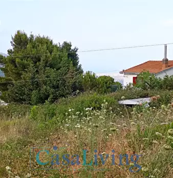 Foto annuncio 12