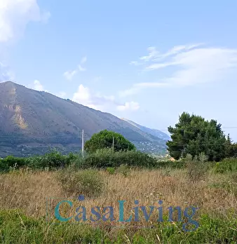 Foto annuncio 13