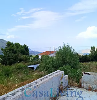 Foto annuncio 15