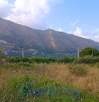 Foto annuncio 20