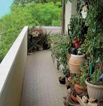 Foto annuncio 4