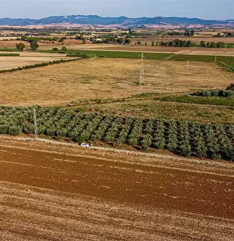 Foto annuncio 15