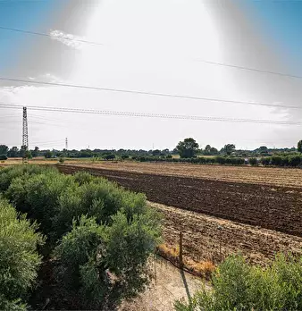 Foto annuncio 35