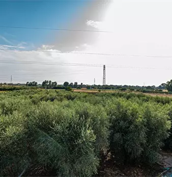 Foto annuncio 36