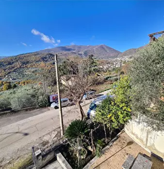 Foto annuncio 22