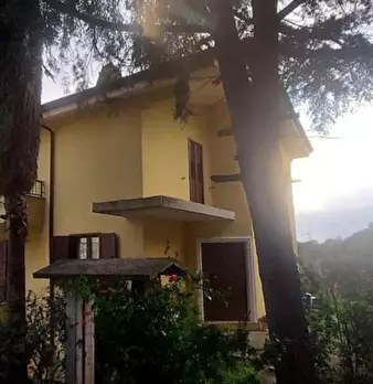Foto annuncio 2