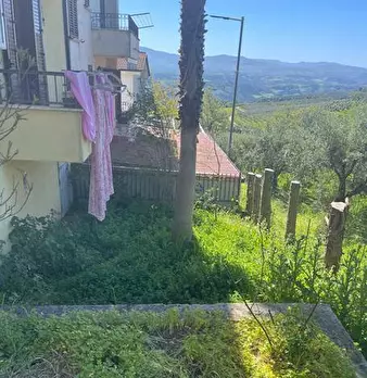 Foto annuncio 10
