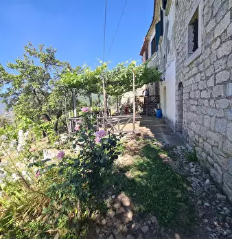 Foto annuncio 27