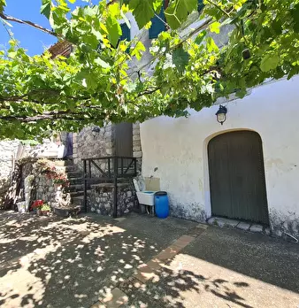 Foto annuncio 28