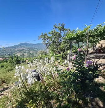 Foto annuncio 29
