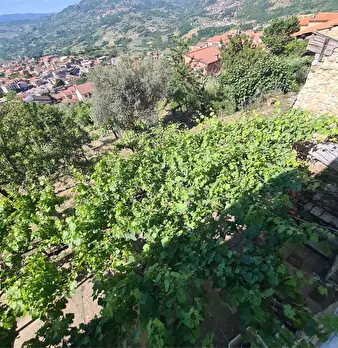 Foto annuncio 30