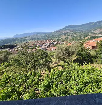 Foto annuncio 32
