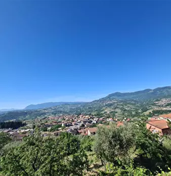 Foto annuncio 33