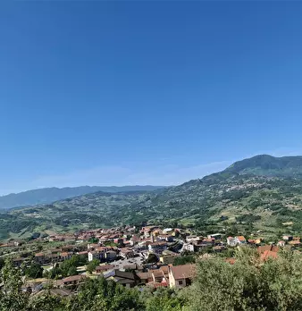 Foto annuncio 34