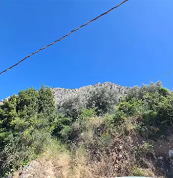 Foto annuncio 35
