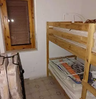 Foto annuncio 7