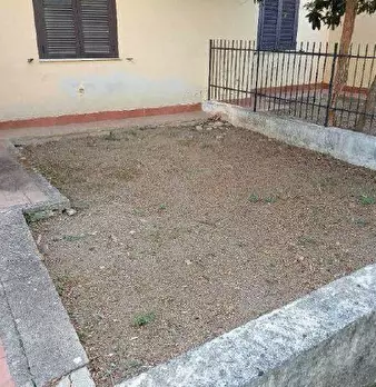 Foto annuncio 10