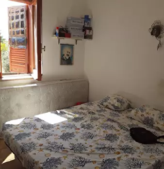 Foto annuncio 6