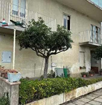 Foto annuncio 9