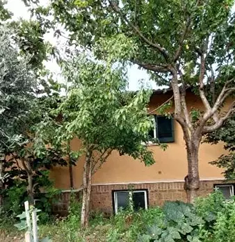 Foto annuncio 8