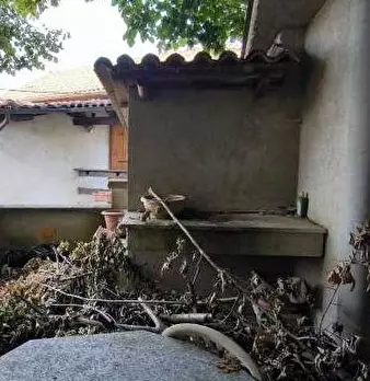 Foto annuncio 6