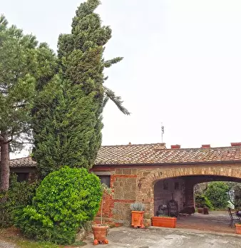 Foto annuncio 11