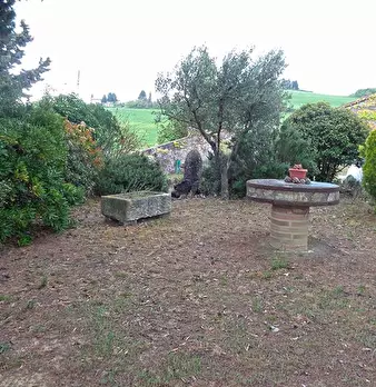 Foto annuncio 22