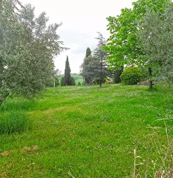 Foto annuncio 37