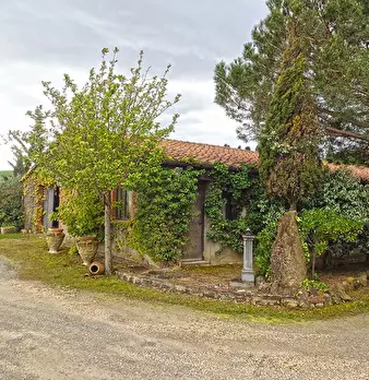 Foto annuncio 38