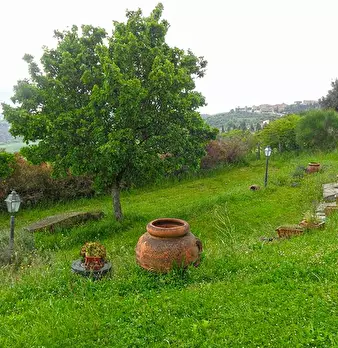 Foto annuncio 40