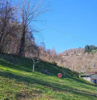 Foto annuncio 18