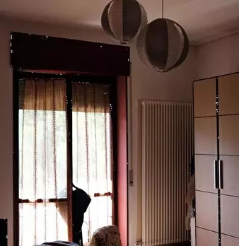 Foto annuncio 8