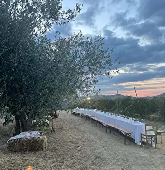 Foto annuncio 4