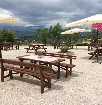 Foto annuncio 11