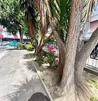 Foto annuncio 4