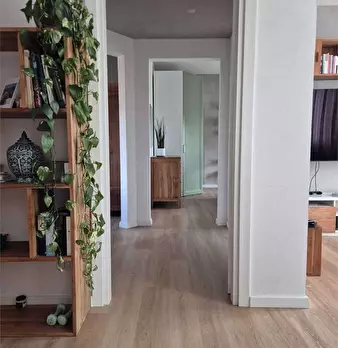 Foto annuncio 19