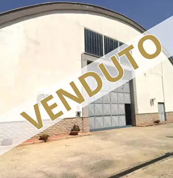 Foto annuncio 1