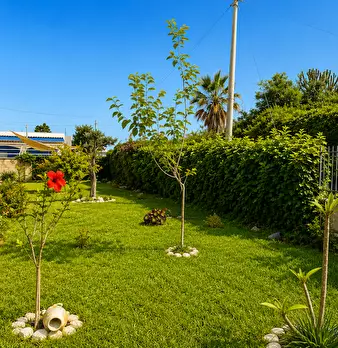 Foto annuncio 48
